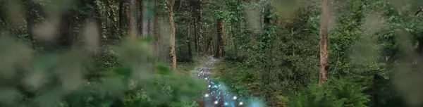 Mischwald, in dem blaue Kügelchen sich ihren Weg bahnen