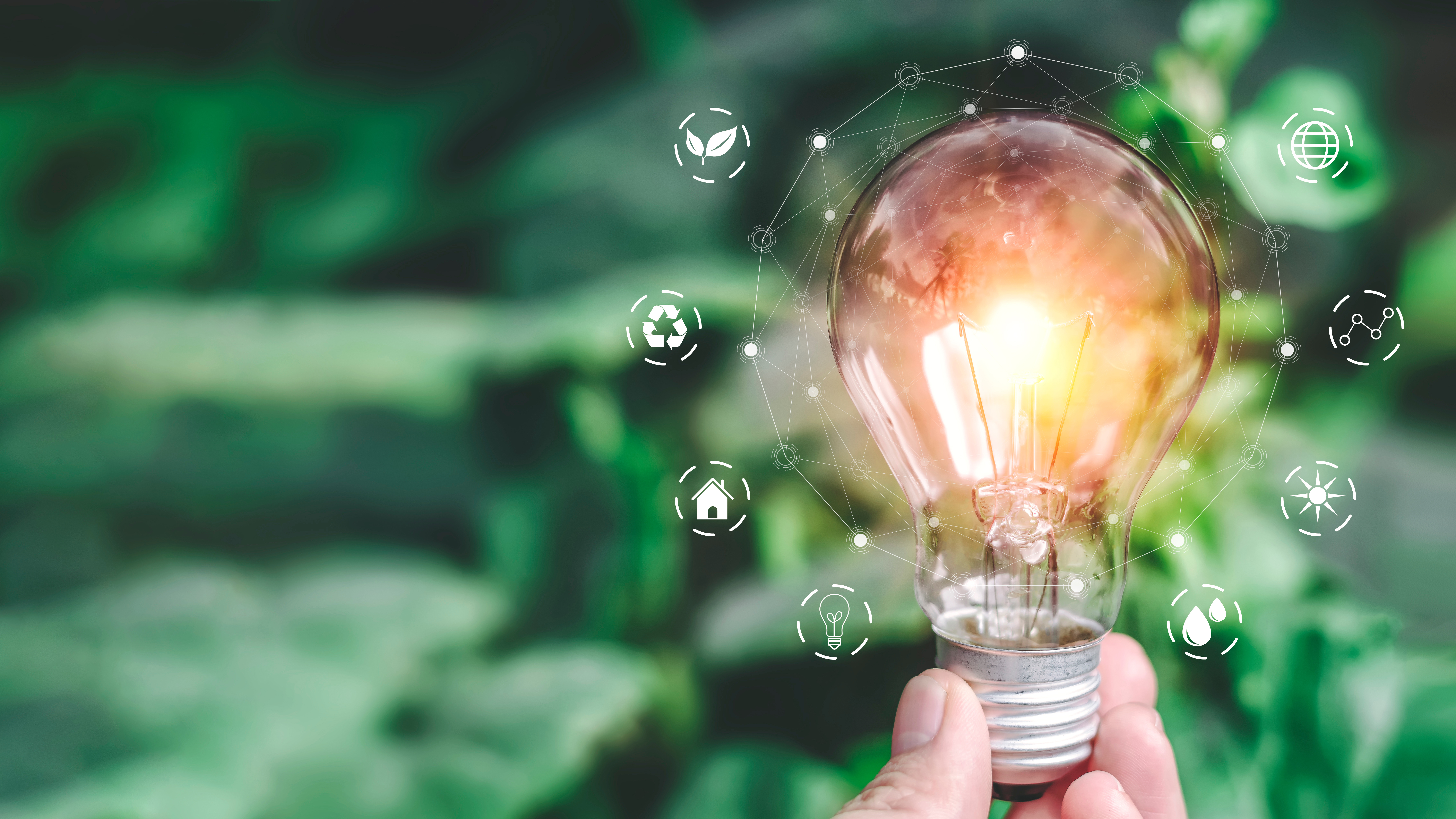 Hand hält eine Glühbirne, umgeben von Symbolen für natürliche Ressourcen und erneuerbare Energien. Der Hintergrund ist grün und verschwommen.