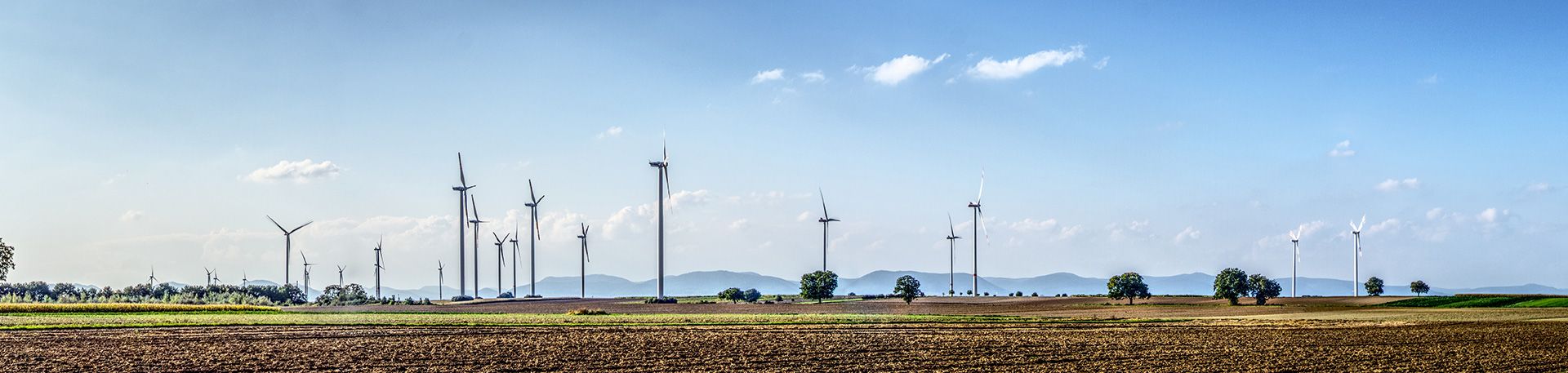 diverse Windräder auf einem Feld