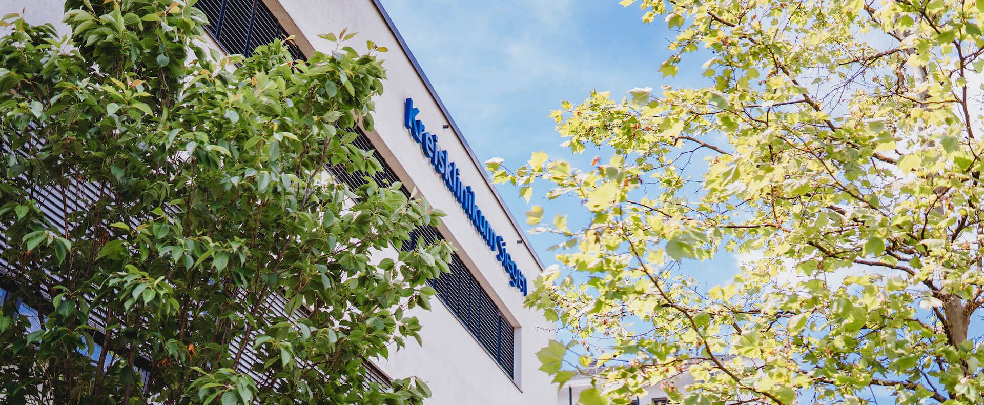Außenaufnahme Kreisklinikum Siegen, hinter Bäumen